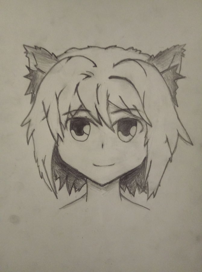girl Anime drawing cat